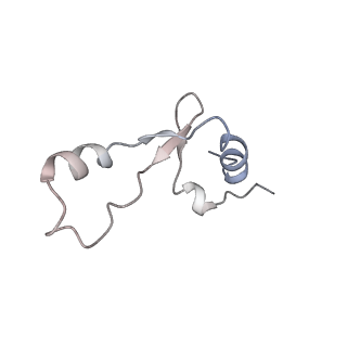 33665_7y7h_2_v2-2
Structure of the Bacterial Ribosome with human tRNA Tyr(GalQ34) and mRNA(UAC)
