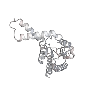 33665_7y7h_B_v1-0
Structure of the Bacterial Ribosome with human tRNA Tyr(GalQ34) and mRNA(UAC)
