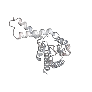 33665_7y7h_B_v2-2
Structure of the Bacterial Ribosome with human tRNA Tyr(GalQ34) and mRNA(UAC)