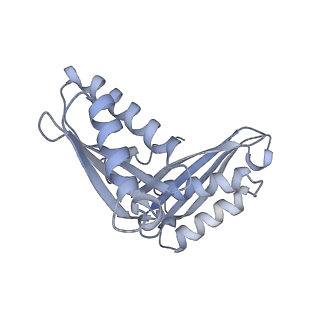 33665_7y7h_C_v1-0
Structure of the Bacterial Ribosome with human tRNA Tyr(GalQ34) and mRNA(UAC)