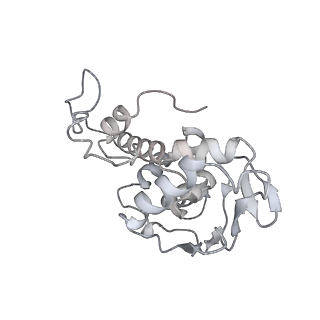 33665_7y7h_D_v1-0
Structure of the Bacterial Ribosome with human tRNA Tyr(GalQ34) and mRNA(UAC)