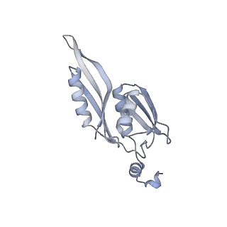 33665_7y7h_E_v1-0
Structure of the Bacterial Ribosome with human tRNA Tyr(GalQ34) and mRNA(UAC)