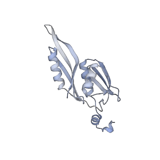 33665_7y7h_E_v2-2
Structure of the Bacterial Ribosome with human tRNA Tyr(GalQ34) and mRNA(UAC)