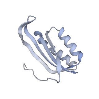 33665_7y7h_F_v1-0
Structure of the Bacterial Ribosome with human tRNA Tyr(GalQ34) and mRNA(UAC)