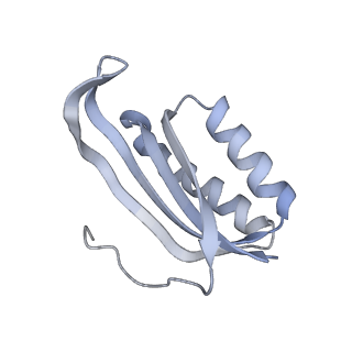 33665_7y7h_F_v2-2
Structure of the Bacterial Ribosome with human tRNA Tyr(GalQ34) and mRNA(UAC)