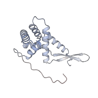 33665_7y7h_G_v1-0
Structure of the Bacterial Ribosome with human tRNA Tyr(GalQ34) and mRNA(UAC)