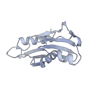 33665_7y7h_H_v2-2
Structure of the Bacterial Ribosome with human tRNA Tyr(GalQ34) and mRNA(UAC)