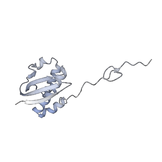 33665_7y7h_I_v2-2
Structure of the Bacterial Ribosome with human tRNA Tyr(GalQ34) and mRNA(UAC)