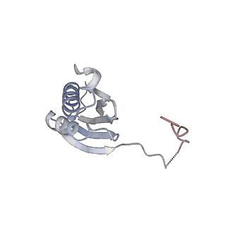 33665_7y7h_K_v1-0
Structure of the Bacterial Ribosome with human tRNA Tyr(GalQ34) and mRNA(UAC)