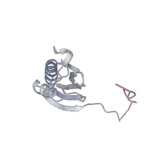 33665_7y7h_K_v2-2
Structure of the Bacterial Ribosome with human tRNA Tyr(GalQ34) and mRNA(UAC)