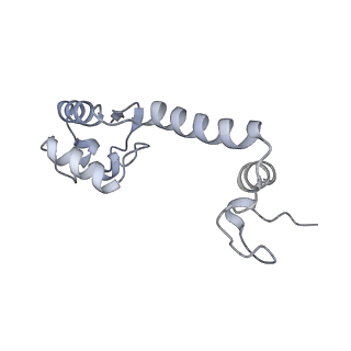 33665_7y7h_M_v1-0
Structure of the Bacterial Ribosome with human tRNA Tyr(GalQ34) and mRNA(UAC)