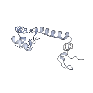 33665_7y7h_M_v2-2
Structure of the Bacterial Ribosome with human tRNA Tyr(GalQ34) and mRNA(UAC)