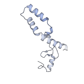 33665_7y7h_N_v1-0
Structure of the Bacterial Ribosome with human tRNA Tyr(GalQ34) and mRNA(UAC)