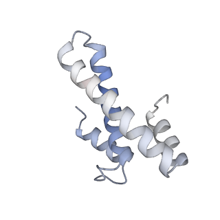 33665_7y7h_O_v2-2
Structure of the Bacterial Ribosome with human tRNA Tyr(GalQ34) and mRNA(UAC)