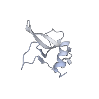 33665_7y7h_P_v2-2
Structure of the Bacterial Ribosome with human tRNA Tyr(GalQ34) and mRNA(UAC)