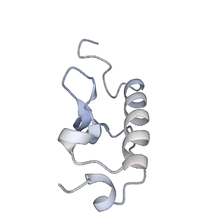 33665_7y7h_R_v1-0
Structure of the Bacterial Ribosome with human tRNA Tyr(GalQ34) and mRNA(UAC)
