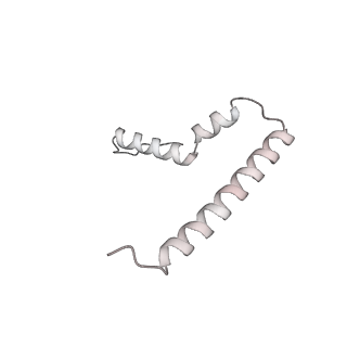 33665_7y7h_U_v1-0
Structure of the Bacterial Ribosome with human tRNA Tyr(GalQ34) and mRNA(UAC)