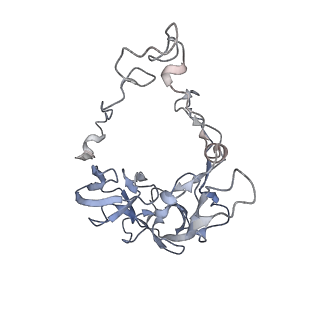33665_7y7h_c_v1-0
Structure of the Bacterial Ribosome with human tRNA Tyr(GalQ34) and mRNA(UAC)
