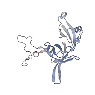 33665_7y7h_d_v1-0
Structure of the Bacterial Ribosome with human tRNA Tyr(GalQ34) and mRNA(UAC)