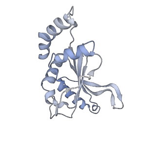 33665_7y7h_f_v1-0
Structure of the Bacterial Ribosome with human tRNA Tyr(GalQ34) and mRNA(UAC)