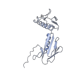 33665_7y7h_g_v1-0
Structure of the Bacterial Ribosome with human tRNA Tyr(GalQ34) and mRNA(UAC)