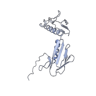 33665_7y7h_g_v2-2
Structure of the Bacterial Ribosome with human tRNA Tyr(GalQ34) and mRNA(UAC)