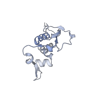 33665_7y7h_i_v1-0
Structure of the Bacterial Ribosome with human tRNA Tyr(GalQ34) and mRNA(UAC)