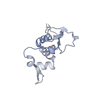 33665_7y7h_i_v2-2
Structure of the Bacterial Ribosome with human tRNA Tyr(GalQ34) and mRNA(UAC)