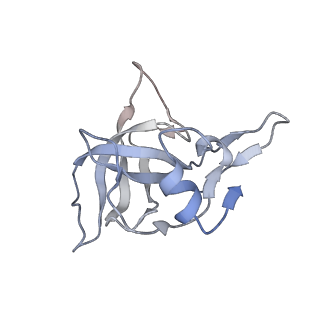 33665_7y7h_j_v1-0
Structure of the Bacterial Ribosome with human tRNA Tyr(GalQ34) and mRNA(UAC)