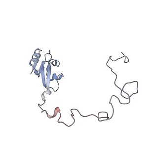 33665_7y7h_k_v1-0
Structure of the Bacterial Ribosome with human tRNA Tyr(GalQ34) and mRNA(UAC)