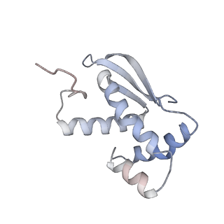 33665_7y7h_m_v1-0
Structure of the Bacterial Ribosome with human tRNA Tyr(GalQ34) and mRNA(UAC)