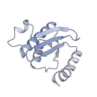 33665_7y7h_n_v2-2
Structure of the Bacterial Ribosome with human tRNA Tyr(GalQ34) and mRNA(UAC)