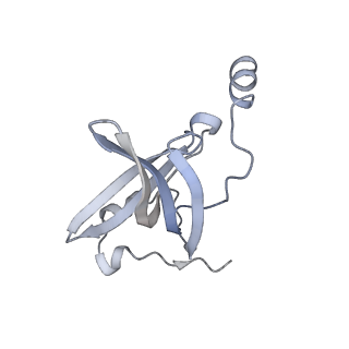 33665_7y7h_o_v1-0
Structure of the Bacterial Ribosome with human tRNA Tyr(GalQ34) and mRNA(UAC)