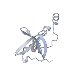 33665_7y7h_o_v2-2
Structure of the Bacterial Ribosome with human tRNA Tyr(GalQ34) and mRNA(UAC)