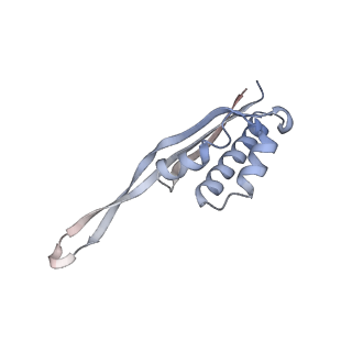 33665_7y7h_r_v1-0
Structure of the Bacterial Ribosome with human tRNA Tyr(GalQ34) and mRNA(UAC)