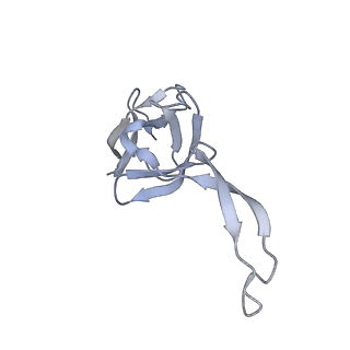 33665_7y7h_t_v1-0
Structure of the Bacterial Ribosome with human tRNA Tyr(GalQ34) and mRNA(UAC)