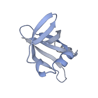 33665_7y7h_u_v1-0
Structure of the Bacterial Ribosome with human tRNA Tyr(GalQ34) and mRNA(UAC)