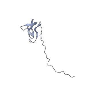 33665_7y7h_v_v1-0
Structure of the Bacterial Ribosome with human tRNA Tyr(GalQ34) and mRNA(UAC)