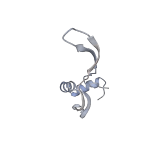 33665_7y7h_w_v1-0
Structure of the Bacterial Ribosome with human tRNA Tyr(GalQ34) and mRNA(UAC)