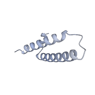33665_7y7h_x_v1-0
Structure of the Bacterial Ribosome with human tRNA Tyr(GalQ34) and mRNA(UAC)
