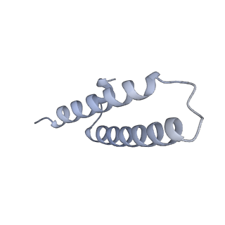33665_7y7h_x_v2-2
Structure of the Bacterial Ribosome with human tRNA Tyr(GalQ34) and mRNA(UAC)