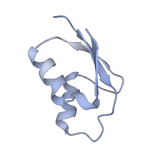 33665_7y7h_y_v1-0
Structure of the Bacterial Ribosome with human tRNA Tyr(GalQ34) and mRNA(UAC)