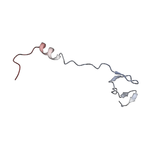 33665_7y7h_z_v1-0
Structure of the Bacterial Ribosome with human tRNA Tyr(GalQ34) and mRNA(UAC)