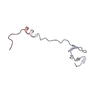33665_7y7h_z_v2-2
Structure of the Bacterial Ribosome with human tRNA Tyr(GalQ34) and mRNA(UAC)