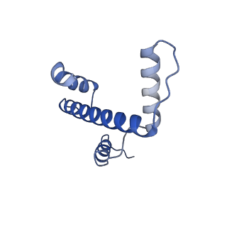 33666_7y7i_A_v1-0
chicken KNL2 in complex with the CENP-A nucleosome