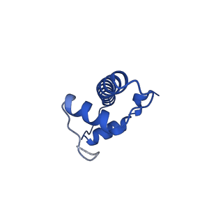 33666_7y7i_B_v1-0
chicken KNL2 in complex with the CENP-A nucleosome