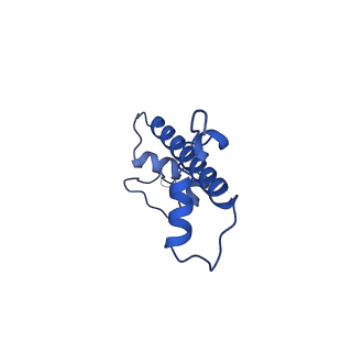 33666_7y7i_C_v1-0
chicken KNL2 in complex with the CENP-A nucleosome