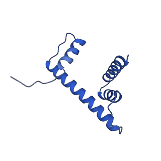 33666_7y7i_D_v1-0
chicken KNL2 in complex with the CENP-A nucleosome