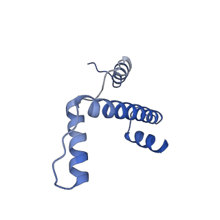 33666_7y7i_E_v1-0
chicken KNL2 in complex with the CENP-A nucleosome
