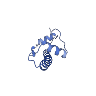 33666_7y7i_F_v1-0
chicken KNL2 in complex with the CENP-A nucleosome
